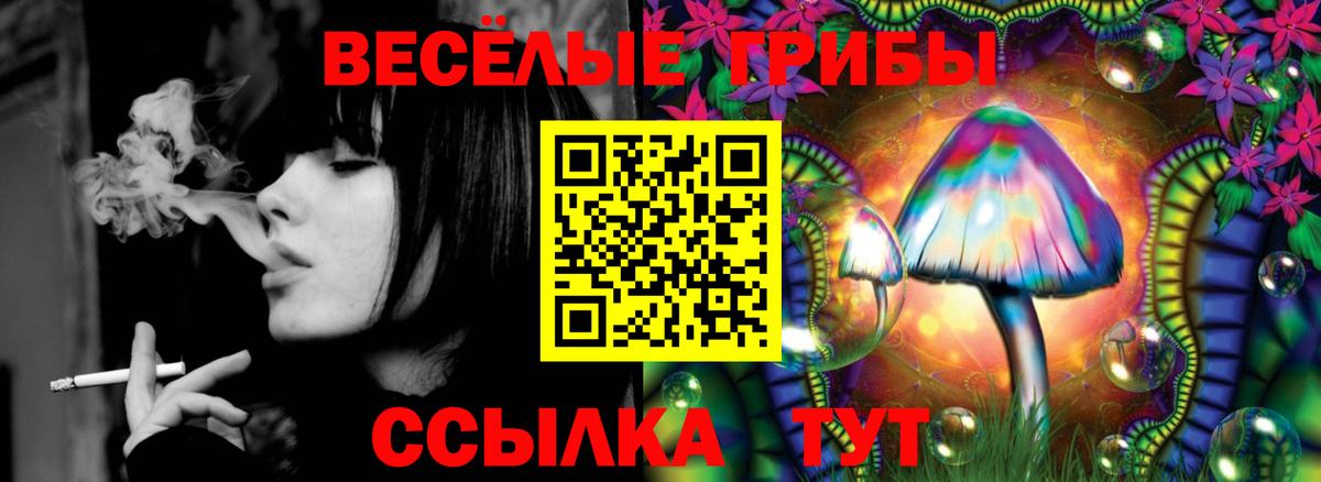 Псилоцибиновые грибы Psilocybe Мариинск